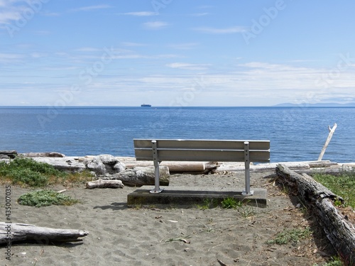  Driftwood strewn along the beach of Esquimalt lagoon on Vancouver Island photo
