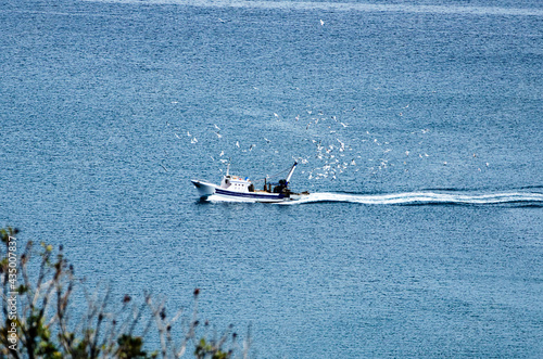Fishing boat returns to port surrounded by seagulls