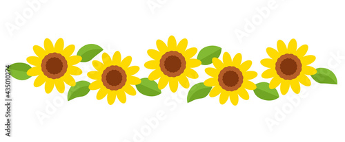 sunflower field, flower border flat style vector illustration