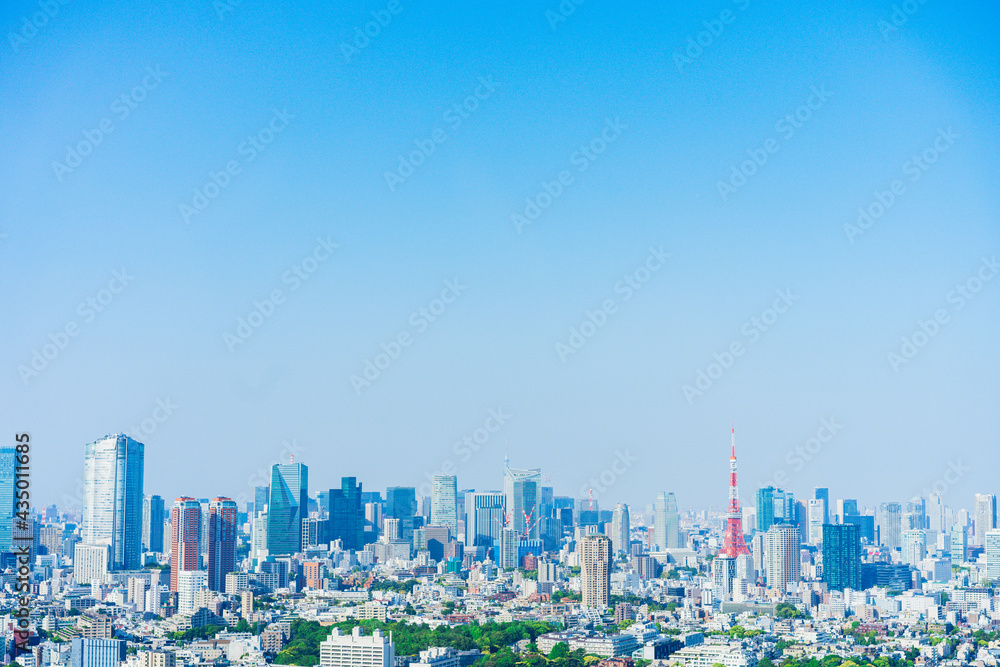 Fototapeta premium 東京風景