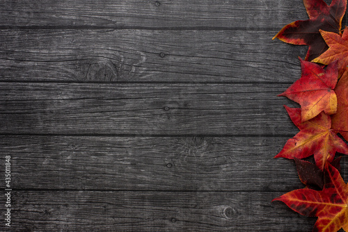 autumn leaves on wooden background