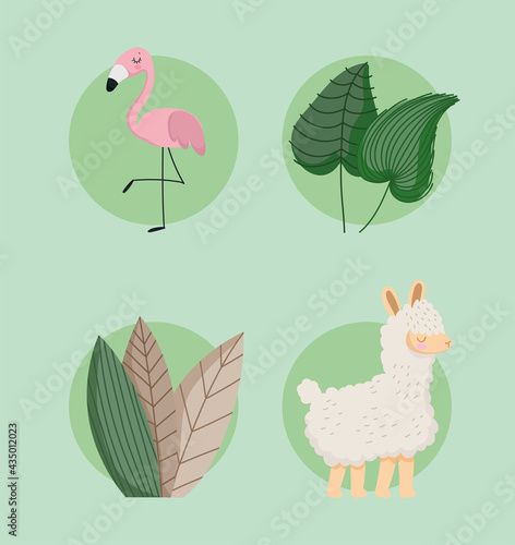 animals flamingo sheep