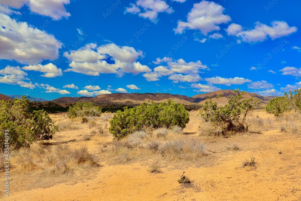 California Desert Landscape with Clouds and Mountain Background