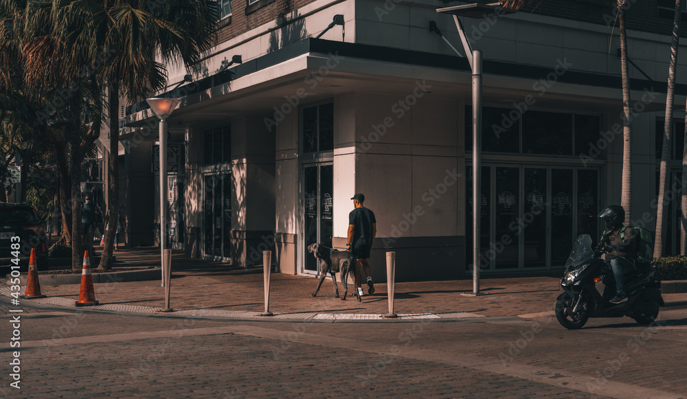 people on bikes dog midtown Miami Florida summer 