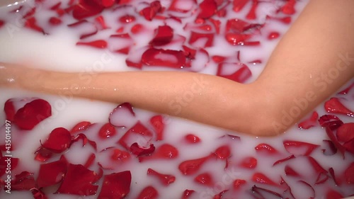 Young woman's leg in white foam bath with red rose petals.  Valentine day celebration idea. Spa treatment