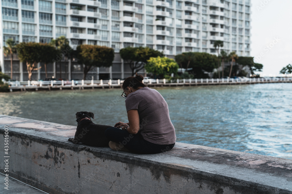 person sitting on the pier dog buildings relax woman Miami Florida 