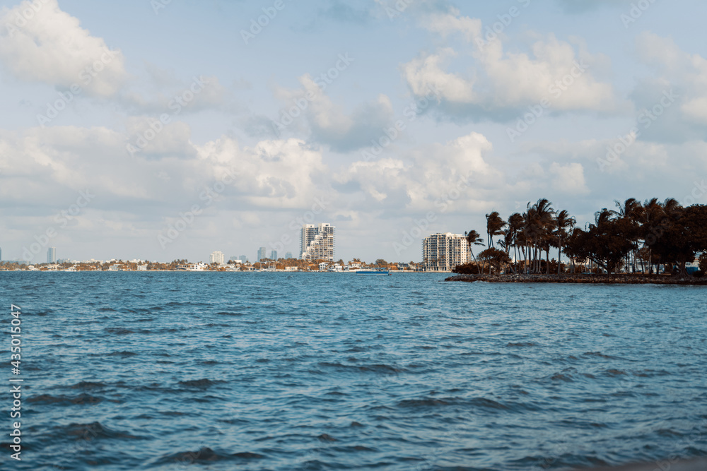 city skyline sea palms panorama Miami Florida usa sky clouds 