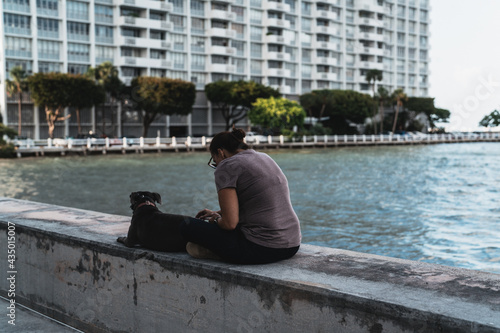 person sitting on the pier dog buildings relax woman Miami Florida 