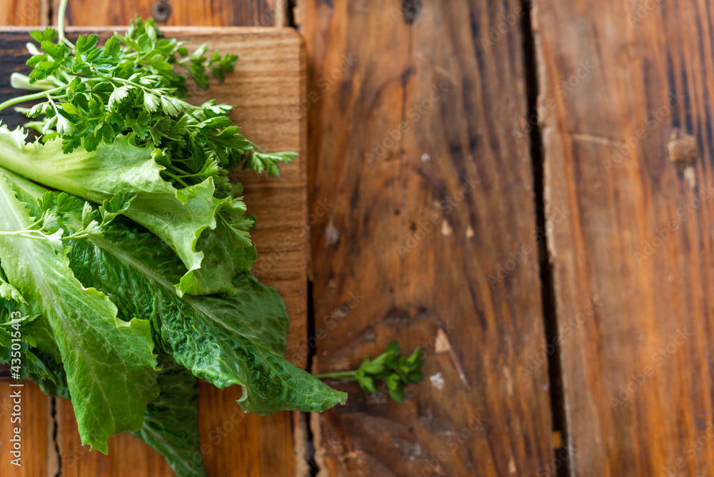 Eco-friendly fresh herbs from your garden. Home plant growing, healthy eating, vegetarian food. High quality photo Eco-friendly fresh herbs from your garden. Home plant growing, healthy eating, vegetarian food. High quality photo