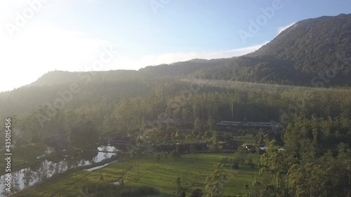 Panocamic View Above Thick Forest With Trees On the morning