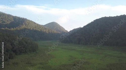 Panocamic View Above Thick Forest With Trees On the morning