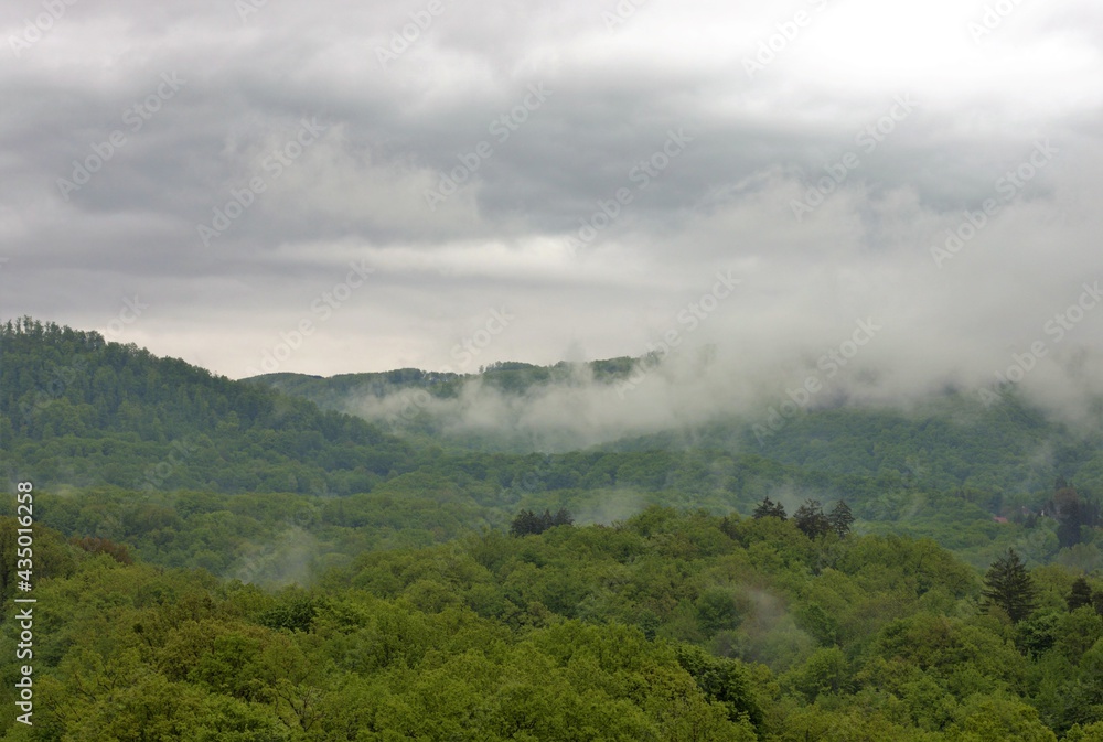 landscape with fog over the forest after rain landscape with fog over the forest after rain