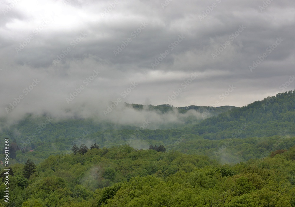 landscape with clouds above the forest