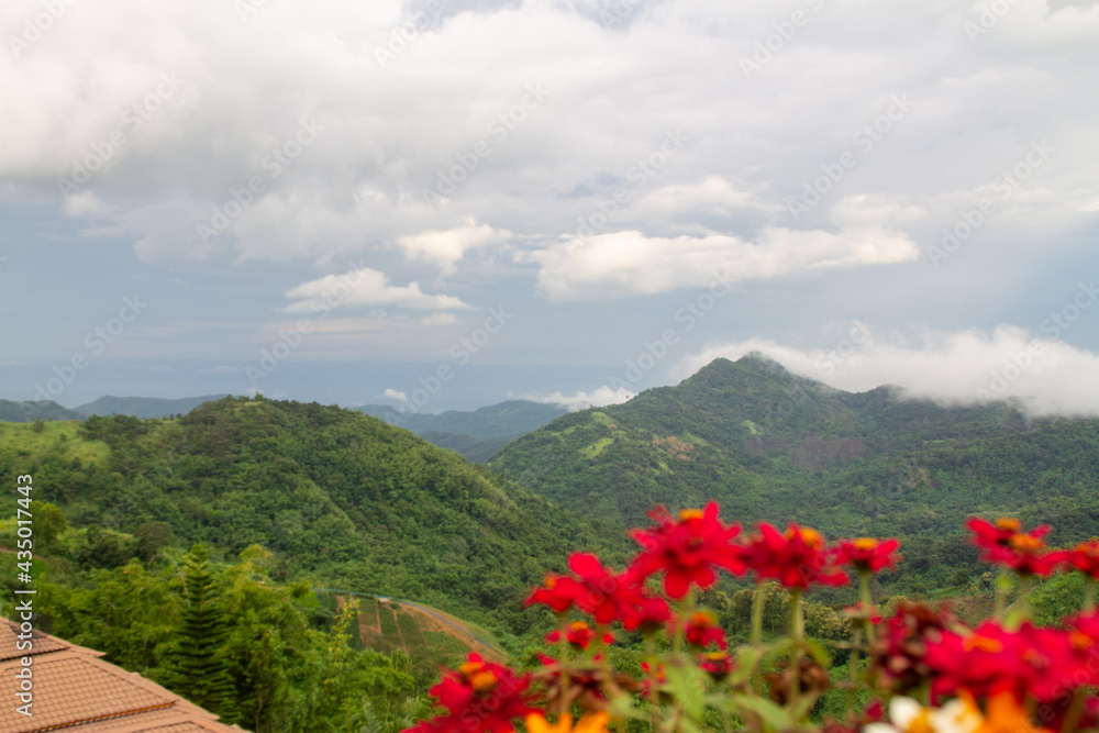 The image flowers are blurry with mountains as background. A white cloud filled the sky before it rains.