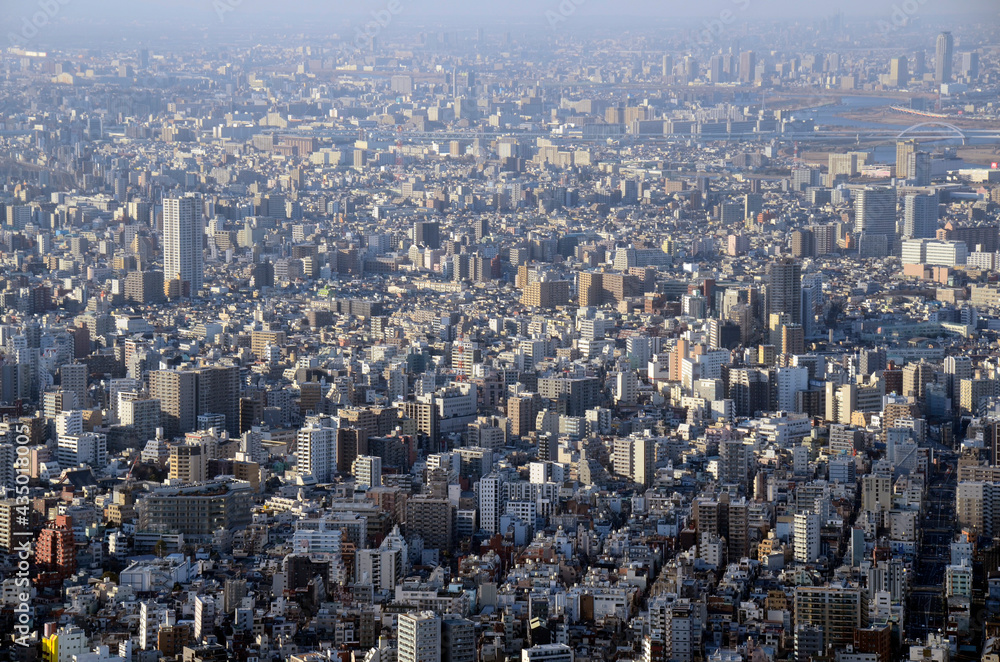 Fototapeta premium 東京の街並み
