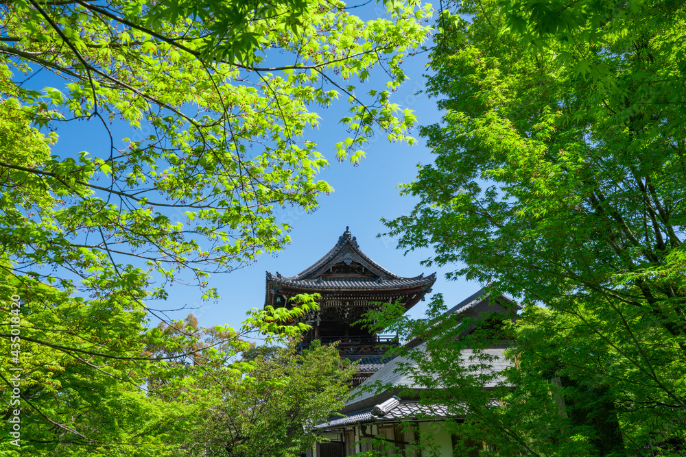 京都 清凉寺の仁王門と新緑 京都 清凉寺の仁王門と新緑
