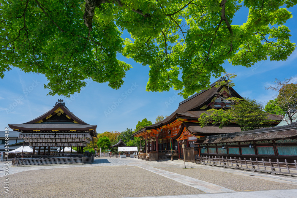 京都　八坂神社の本殿と舞殿　新緑