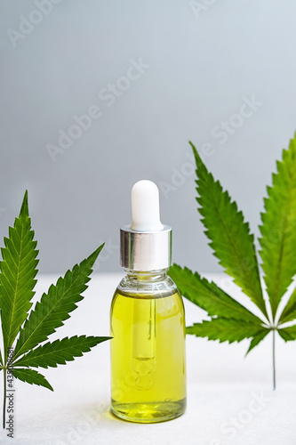 Cosmetics CBD oil and leaves of cannabis. Modern still life of glass bottles with Hemp oil, THC tincture and hemp leaves 