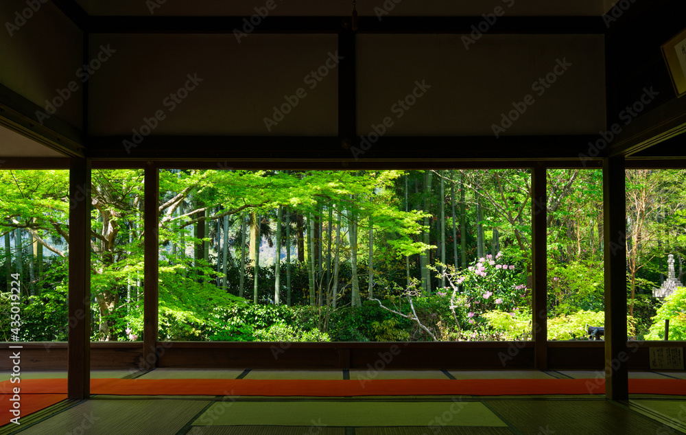 京都 宝泉院 京都 宝泉院
