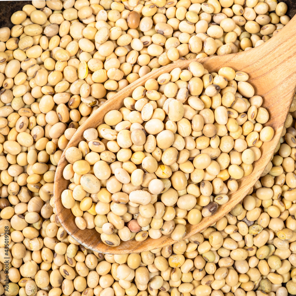 dried soybeans in wooden spoon closeup dried soybeans in wooden spoon closeup