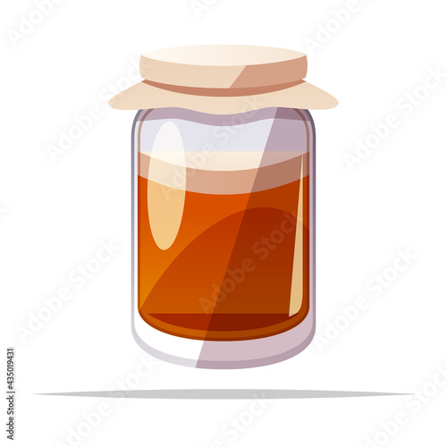 Kombucha fermented tea vector isolated illustration
