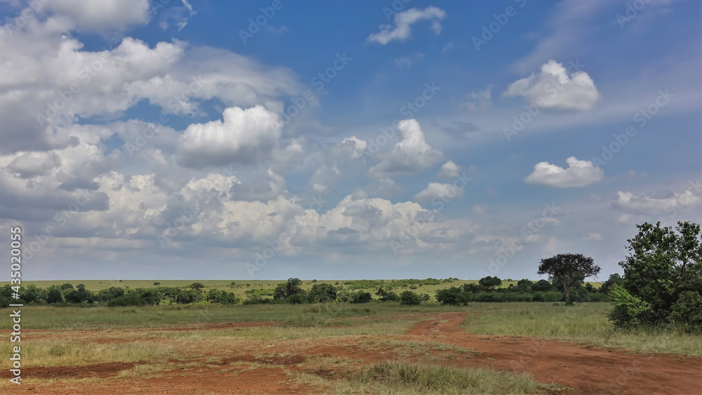 A red dirt road winds through the savannah. Around green grass, trees, bushes. There are picturesque cumulus clouds in the blue sky. African landscape. Kenya. Maasai Mara A red dirt road winds through the savannah. Around green grass, trees, bushes. There are picturesque cumulus clouds in the blue sky. African landscape. Kenya. Maasai Mara