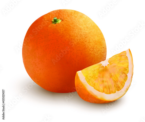 orange on white background vector realistic