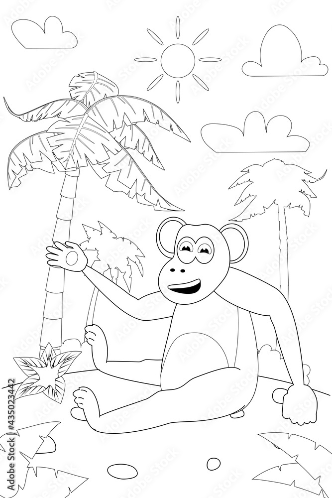 Obraz Jungle, Africa safari animal Monkey coloring book edicational illustration for children. Vector white black cartoon outline illustration