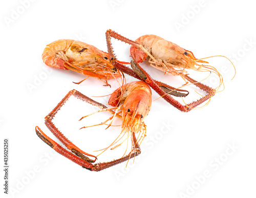 Photography shirmp grilled an isolated on white background