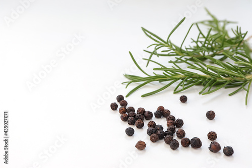 Black pepper grains, fresh rosemary herb on white background.