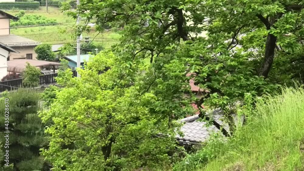 住宅 樹木 住宅 樹木