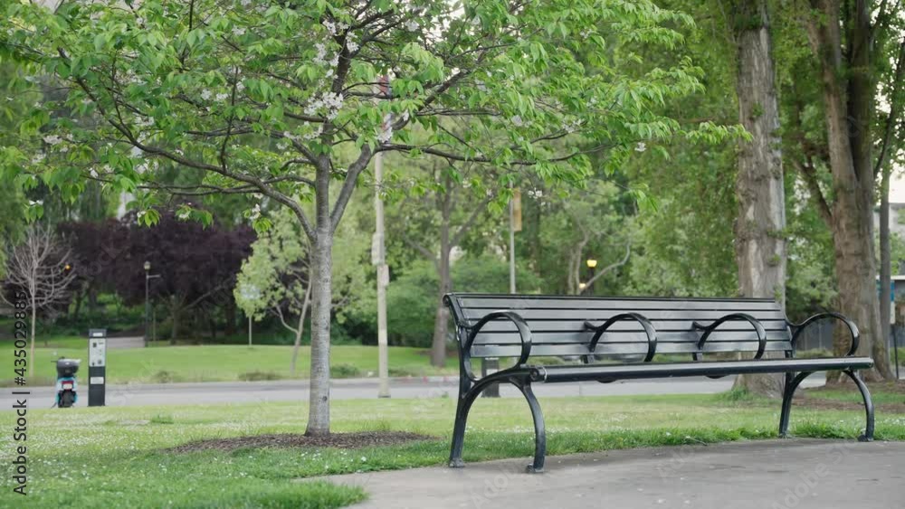 Scenic view of a black bench in the park in San Francisco Scenic view of a black bench in the park in San Francisco