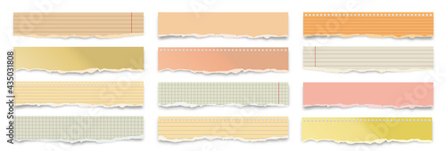 Ripped colorful paper strips isolated on white background. Realistic crumpled paper scraps with torn edges. Lined shreds of notebook pages. Vector illustration.