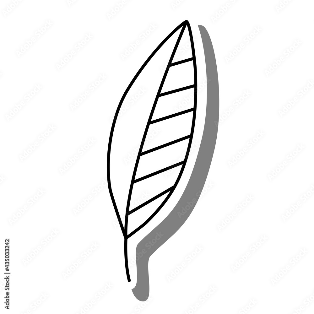 Black line cartoon long leaf on white silhouette and gray shadow. Icon Emoji for decoration or any design. Vector illustration of nature. Black line cartoon long leaf on white silhouette and gray shadow. Icon Emoji for decoration or any design. Vector illustration of nature.