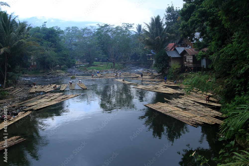 Obraz premium river in the forest