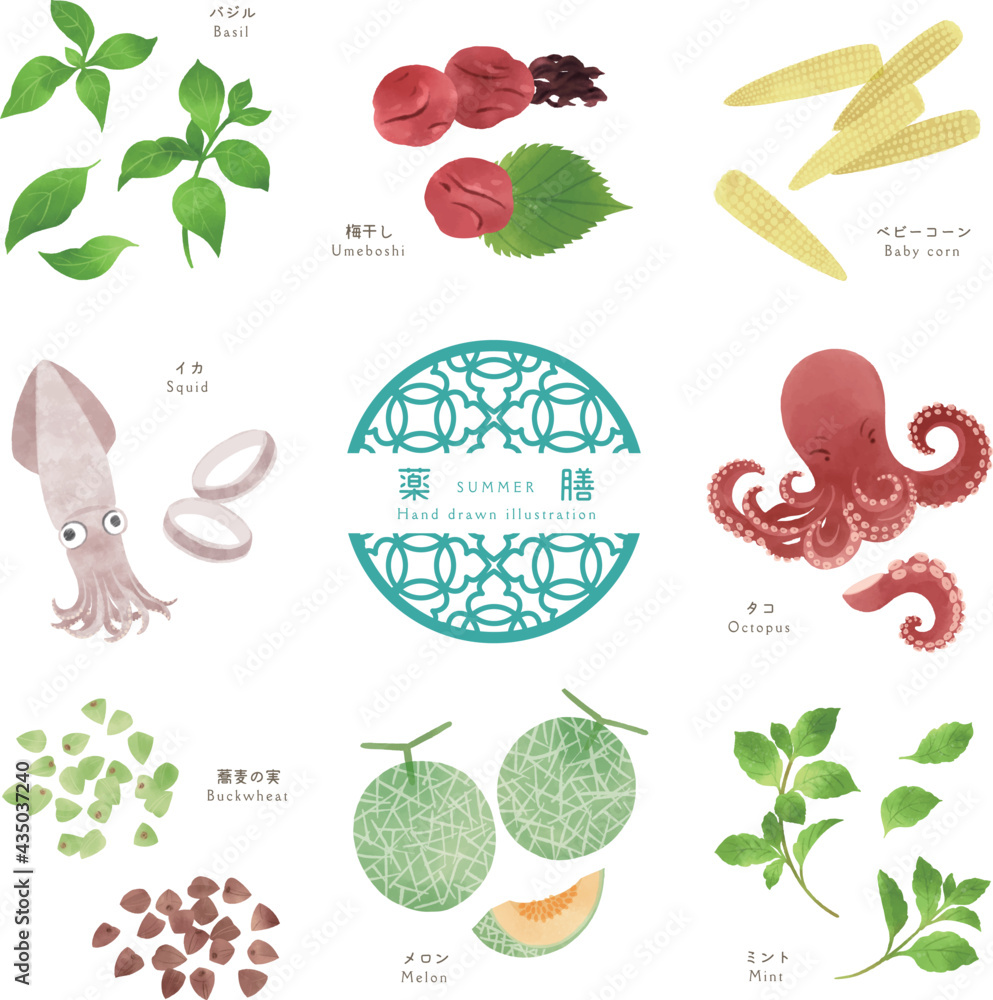 夏の薬膳 食材の手描きイラスト 2 Stock Vector Adobe Stock