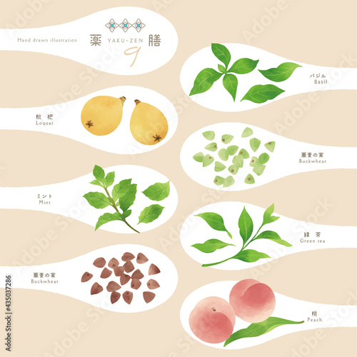 薬膳 / 漢方食材 / ひとさじイラスト-9