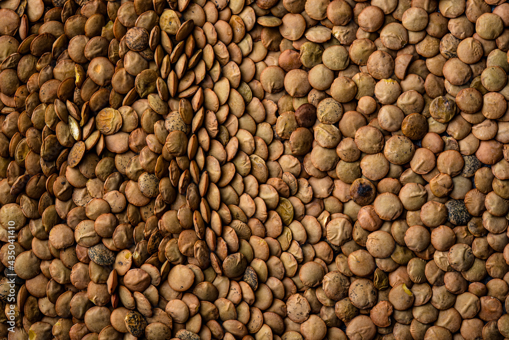 Food texture of green dry lentil. Food texture of green dry lentil.