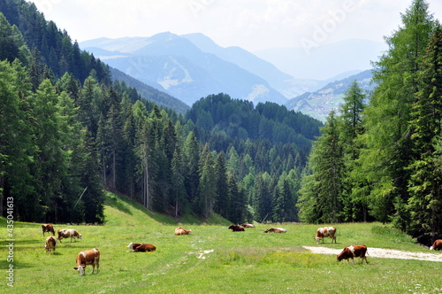 Unterwegs in den Dolomiten-Grödnertal