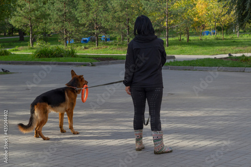 A woman stands in a park with a German Shepherd on a leash. Dog walking. The woman from the back.
