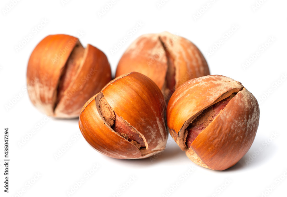 whole hazelnuts isolated on white background whole hazelnuts isolated on white background
