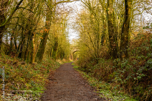 Woodland trail along the old Dumfries and Galloway Railway line, Scotland photo