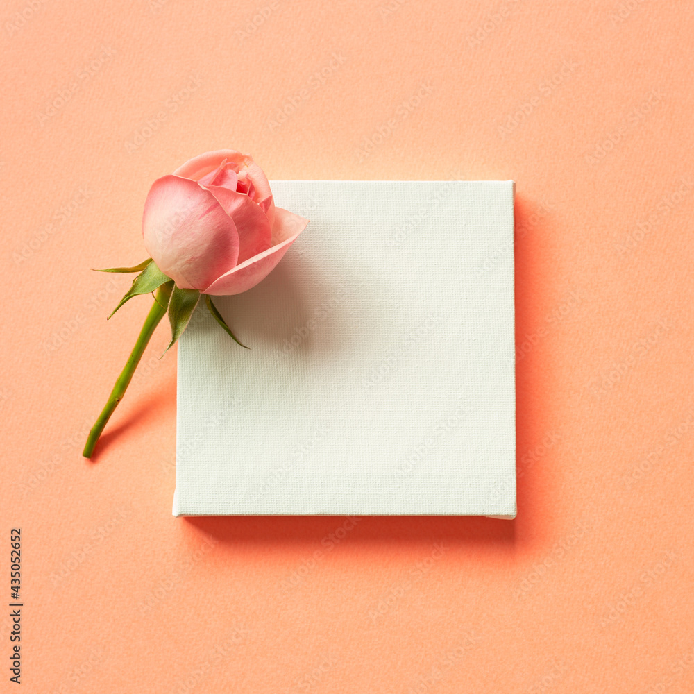 Empty canvas with pink rose flower on orange background. flat lay, top view, copy space Empty canvas with pink rose flower on orange background. flat lay, top view, copy space