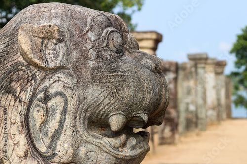 Lion stone statue in Palace complex of king Nissankamalia in the Unesco world heritage site Polonnaruwa, Sri Lanka