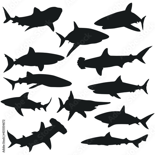 Shark Illustration Clip Art Design Shape. Water Animal Collection Silhouettes Icon Vector.