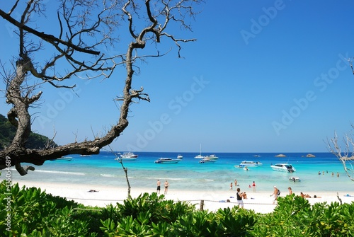 Fototapeta Naklejka Na Ścianę i Meble -  Similan Island, Phang nga Thailand