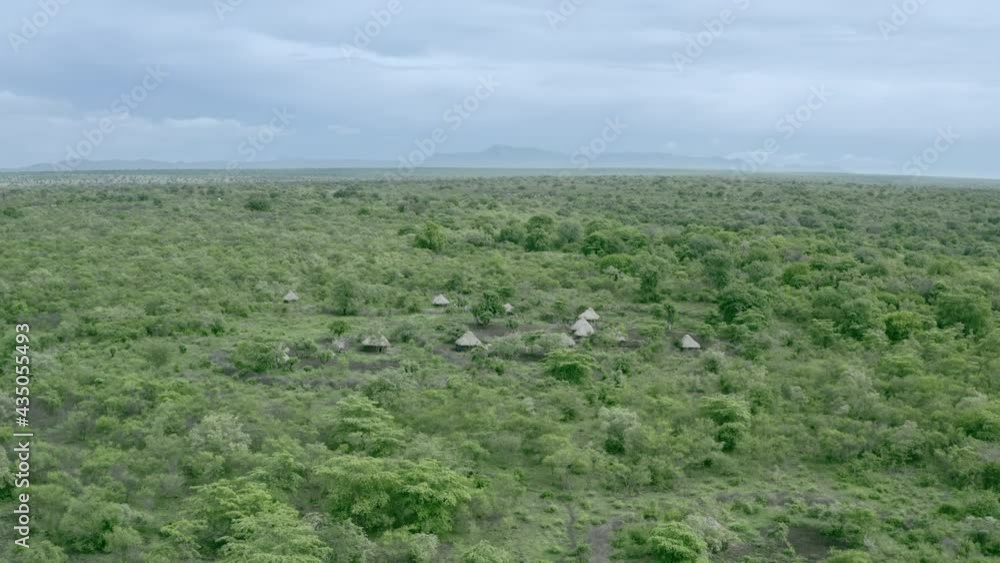 Aerial view of the savannah with the village where the tribes live. Huts and houses in the savannah are surrounded by bushes and trees in a landscape in the wild. Drone video Ethiopia Africa. Aerial view of the savannah with the village where the tribes live. Huts and houses in the savannah are surrounded by bushes and trees in a landscape in the wild. Drone video Ethiopia Africa.