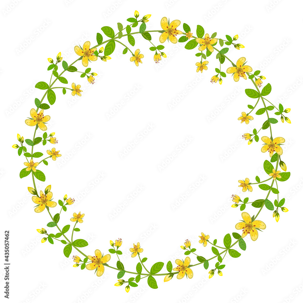 A wreath of Hypericum flowers. Round floral frame. Vector clipart and design for sublimation of medicinal plants A wreath of Hypericum flowers. Round floral frame. Vector clipart and design for sublimation of medicinal plants