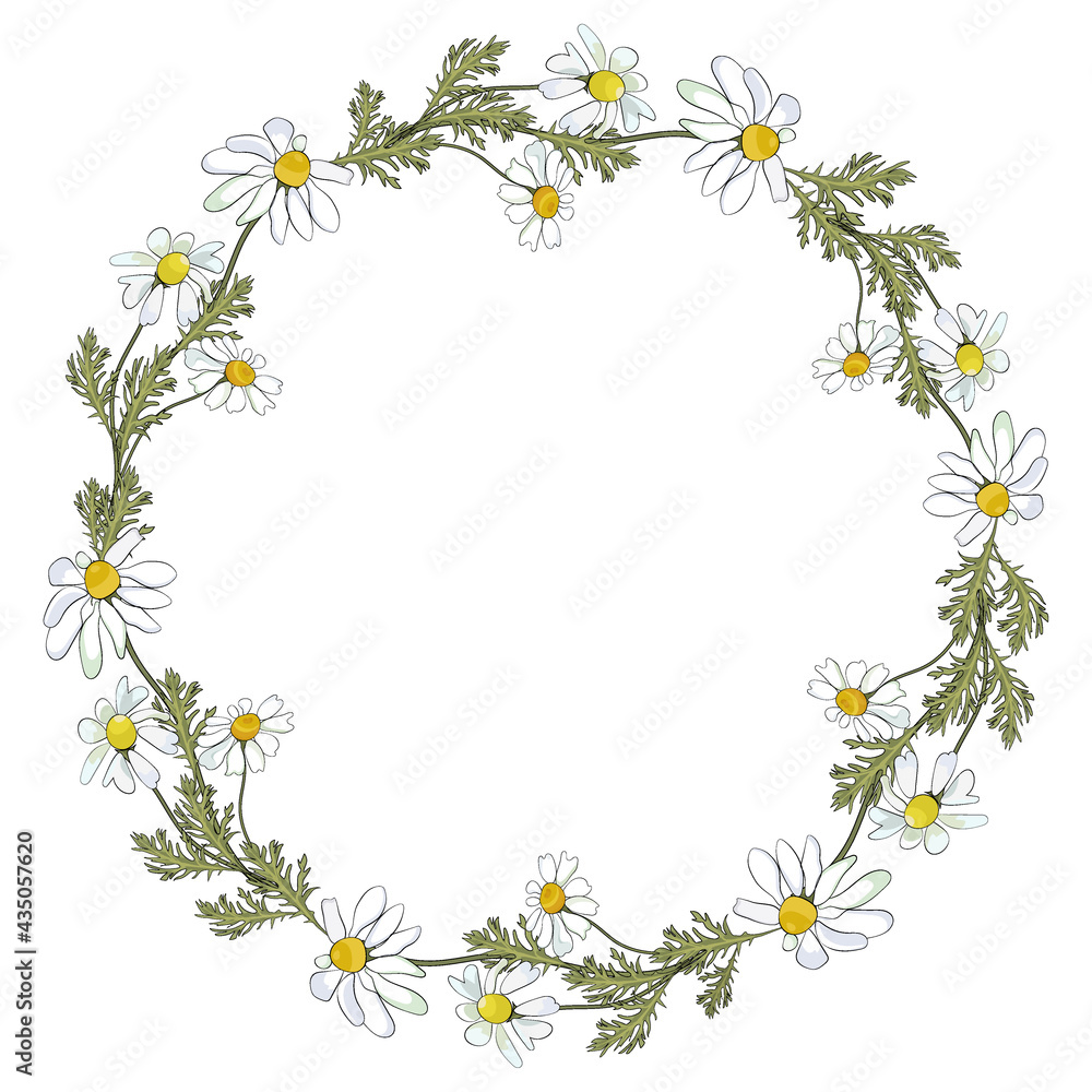 Chamomile flowers wreath. Vector clipart and design for sublimation Chamomile flowers wreath. Vector clipart and design for sublimation