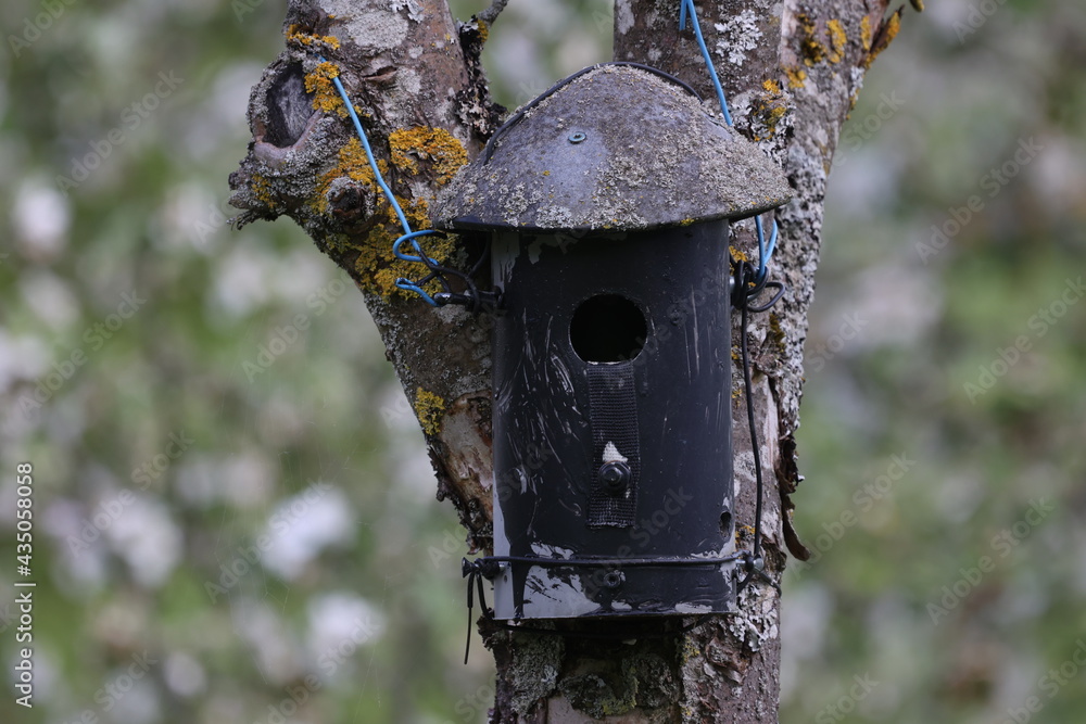The birdhouse is tied to a tree trunk